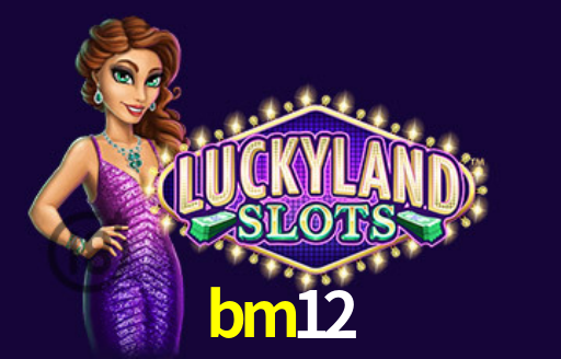 Interface Premium bm12